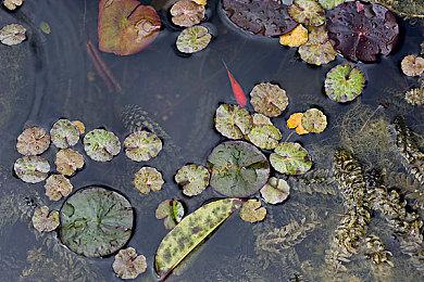 EA免费游戏《极速滑板》9月16日登陆抢先体验